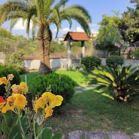 דירות בוסקוריאלה I Giardini Di Plinio - Elegante E Luminoso. מראה חיצוני תמונה
