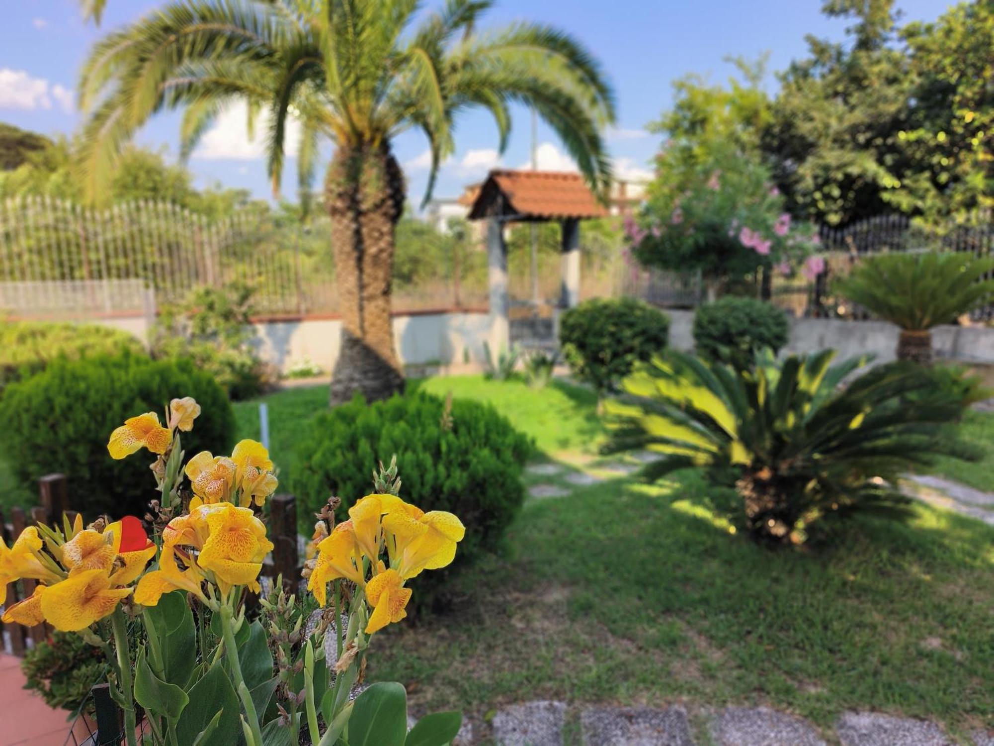 דירות בוסקוריאלה I Giardini Di Plinio - Elegante E Luminoso. מראה חיצוני תמונה