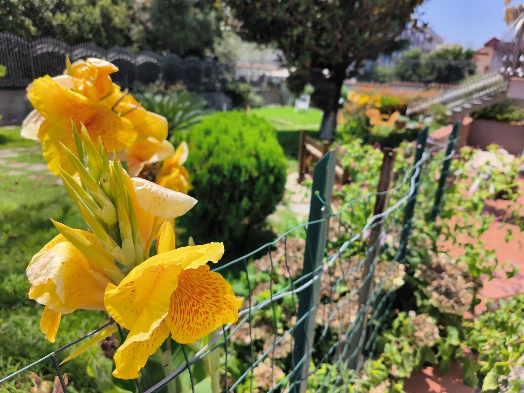 דירות בוסקוריאלה I Giardini Di Plinio - Elegante E Luminoso. מראה חיצוני תמונה