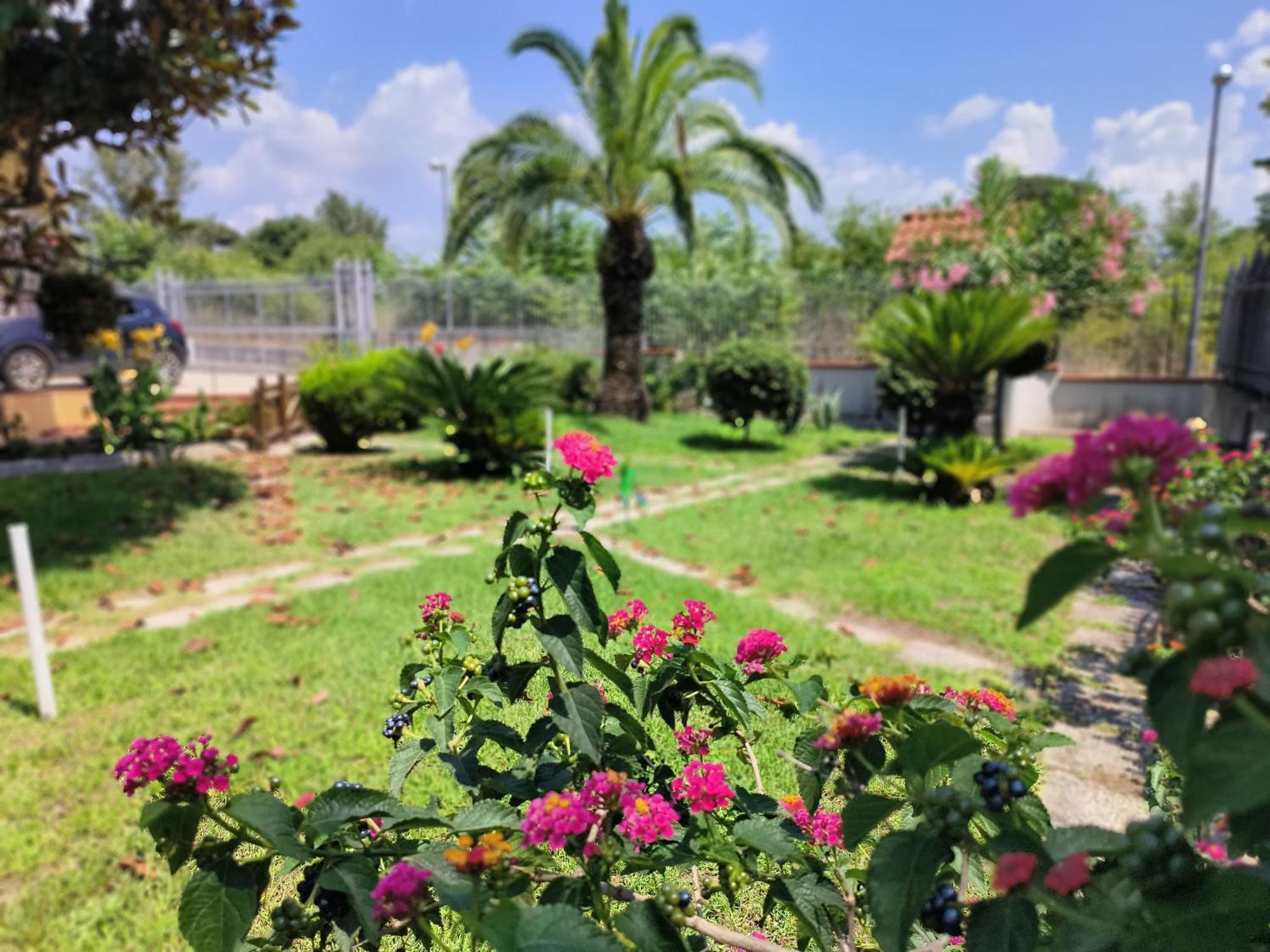 דירות בוסקוריאלה I Giardini Di Plinio - Elegante E Luminoso. מראה חיצוני תמונה